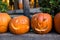 Carved pumpkins on a street curb.