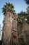 Carved tree at Thousand Palms Oasis Preserve