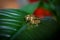 Carved wedding rings with jewels on flower leaf