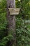 Carved Welcome Sign on tree in woods