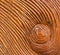Carved Whirlpool on Wood Texture Background