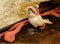 Carved wooden bird with Christmas hat sitting among Christmas wrapping and decorating materials