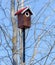 Carved wooden nest box handmade with red tile roof