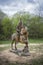 Carved Wooden Soldier and Horse