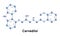 Carvedilol is a beta blocker