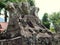 Carving pattern on the ancient stone grave of waruga