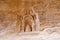 Carvings of the Nabataean in the Siq of Jabal Ithlib in Al Ula, KSA