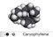 Caryophyllene, beta-Caryophyllene, C15H24 molecule. It is natural bicyclic sesquiterpene that is a constituent of many essential