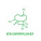 Caryophyllene molecule. Constituent of multiple herbal essential oils, including clove oil. Skeletal formula