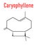 Caryophyllene molecule. Constituent of multiple herbal essential oils, including clove oil. Skeletal formula.