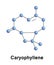 Caryophyllene is a natural bicyclic sesquiterpene