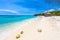 Cas Abao beach - paradise white sand Beach with blue sky and crystal clear blue water in Curacao, Netherlands Antilles, a