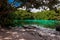 Casa Cenote Mexico Tulum limestone mangrove jungle