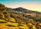 Casale Marittimo village and olive trees in Maremma. Tuscany, It