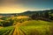 Casale Marittimo village, vineyards and landscape in Maremma. Tu