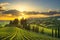 Casale Marittimo village, vineyards and landscape in Maremma. Tu