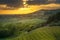 Casale Marittimo village, vineyards and landscape in Maremma. Tu