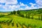 Casale Marittimo village, vineyards and landscape in Maremma. Tuscany, Italy