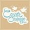 Casate Conmigo, Marry Me spanish translation,  proposal vector design.