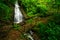 Cascada Bromelias, waterfall Tapanti National park, Costa Rica. Holiday in tropic forest, green tropic forest, Costa Rica. Travell