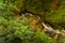 Cascade in asturias spain forest