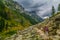 Cascade Canyon - Grand Teton National Park