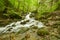 Cascade of Chotarny stream in beautiful Zadielska Gorge in Slovak Karst