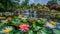 A cascade of colorful blooms erupting from the tranquil lotus pond creating a stunning explosion of beauty