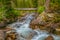 Cascade Creek Grand Tetons