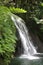 Cascade Escrevisses in the tropical rain forest of Guadeloupe