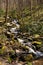 Cascade Flowing Down Mountainside in Great Smoky Mountains