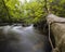 Cascade at Golitha Falls in Cornwall, UK