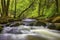 Cascade at Golitha Falls in Cornwall, UK