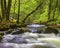 Cascade at Golitha Falls in Cornwall, UK