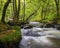 Cascade at Golitha Falls in Cornwall, UK