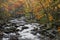 Cascade in Little Pigeon River in the Autumn