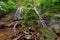 Cascade in the middle of rainforest in Borneo