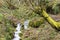 Cascade in a mountain O Courel, Galicia, Spain