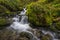 Cascade mountain range waterfall