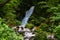 Cascade of a small waterfall flowing through the forest