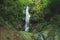 Cascade of a stream inside dense and green wood