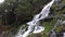 Cascade of a stream in the mountains between the firs in spring. The water bounces off the rocks. View in the Pyrenees.