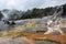 Cascade Terrace and hot springs Algae at Orakei Korako