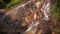 Cascade waterfall in picturesque jungle rainforest