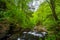 Cascades along Ganoga Glen in Ricketts Glen State Park, Pennsylvania