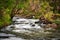 Cascades, the Lefroy Brook transforms from a gentle flow in mid summer to a raging torrent in winter