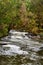 Cascades, the Lefroy Brook transforms from a gentle flow in mid summer to a raging torrent in winter