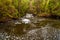 Cascades, the Lefroy Brook transforms from a gentle flow in mid summer to a raging torrent in winter