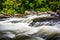 Cascades on Little River, in Dupont State Forest, North Carolina