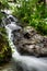 Cascades in Mexican jungle